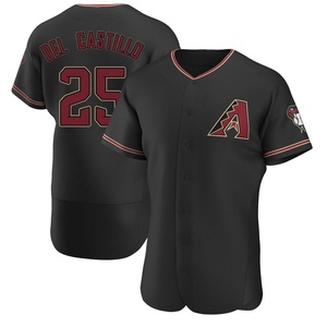 Men's Adrian Del Castillo Arizona Diamondbacks Authentic Black Alternate Jersey